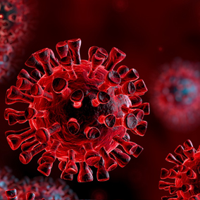 Corona Virus